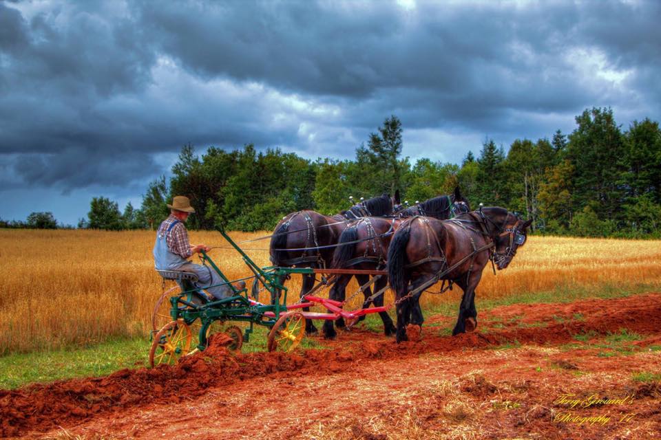 Green tractor plowing deep furrows in red PEI earth, overcast sky, dramatic lighting from above